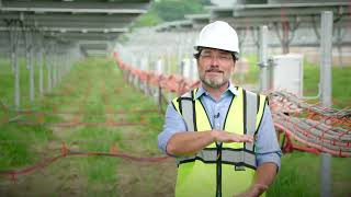 How a Solar Farm is Constructed From Beginning to End [upl. by Toms]