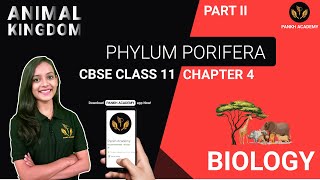 PHYLUM PORIFERA  Animal Kingdom  Class 11 Biology Chapter 4  Pankh Academy  Part 2 [upl. by Araem967]