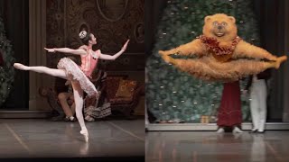 The Nutcracker  Toys Dances Boston Ballet ABTBaryshnikov Berlin Staatsballet [upl. by Ettenuahs]