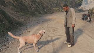 GTA V Uncalculated Risk Franklin meeting the dog and Dom in land acts [upl. by Aleunam334]