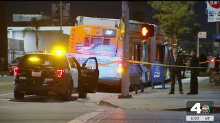 Violent attacks continue to plague LA Metro system [upl. by Ymirej]