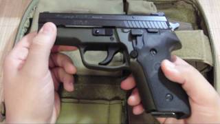 Sig Sauer P229 Review [upl. by Oibaf466]