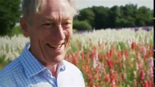 Confetti Flower Field  The Real Flower Petal Confetti Company  Hidden Britain by Drone [upl. by Dedie]