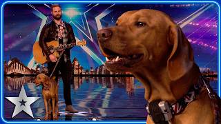 SINGING DOG performs cover of Summer of 69  Unforgettable Audition  Britains Got Talent [upl. by Ahsieuqal38]