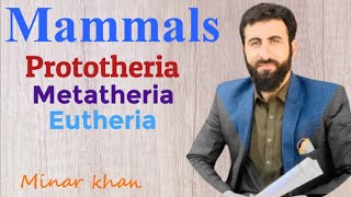 Mammals  classification of mammals  pushto lecture  bio for all  minar khan [upl. by Audi87]