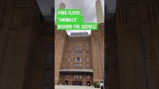 Pink Floyd album Animals  what you may not have known pinkfloyd pinkfloydthewall [upl. by Trebo]