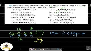 NCERT solutions chapter 10 Alkyl Aryl Halides Organic chemistry class 12 Q 1 to 3 [upl. by Nalim]