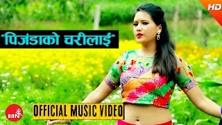 New Nepali Lok Dohori 2073  Pinjada Ko Charilai  Devi Gharti and Hemanta Ale  Sitara Music [upl. by Eva]