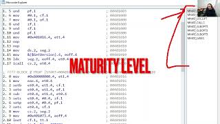 Introduction to the Hex Rays Decompiler SDK [upl. by Noraj]