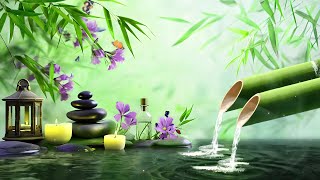 Tranquil Melodies Stress Relief 🌿 Heal Anxiety amp Depression  Fall Asleep Gently Soothing Relaxation [upl. by Aicertal364]