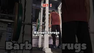 Barbell Shrugs Workout fitness workout hardwork short gymworkout gym exercise [upl. by Hanafee382]