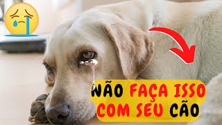 16 ATROCIDADES QUE MACHUCAM EMOCIONALMENTE SEU CÃO [upl. by Elleinnod]