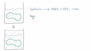 Isotonic Hypotonic and Hypertonic Fluids  Effect on Volume and Concentration [upl. by Odie850]