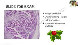 Cysticercosis  GAME 41  Pathology  Infections  Practicals  Spotter  Microscopy  MBBS  Dr GSS [upl. by Grefer2]