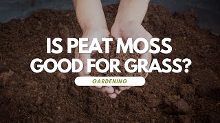 Is Peat Moss Good For Grass [upl. by Baylor]