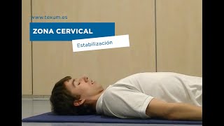 Ejercicio de Estabilización Cervical [upl. by Seuqram]