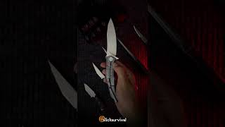 Introducing Asymmetrical Warrior folding knife  Slick Survival [upl. by Nnor]