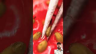 candy satisfying oddlysatisfying food fruit strawberry microscope technology viralvideo [upl. by Stier]