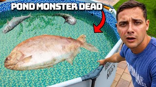 I Found The Pond Monster Dead [upl. by Yraillih]