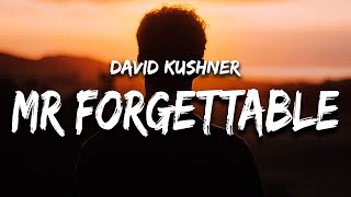 David Kushner  Mr Forgettable LetraLyrics  Official Music Video [upl. by Resay]