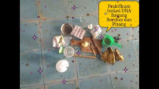 Praktikum Isolasi DNA Bawang Bombay dan Pisang [upl. by Eniarral]