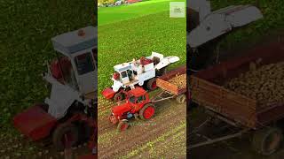 How does technology help Germany harvest beetsshort agriculture technology power [upl. by Noleta]