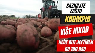 ⁉️Krompir NIKAD više neće biti ispod 100 RSD evo ZAŠTO [upl. by Ausoj]