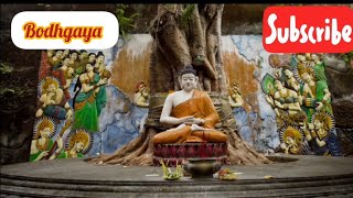 Bodhgaya About bodhgaya tourist places and tour plan tourismbihargov bodhgaya bodhgayatrip [upl. by Vandervelde]