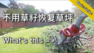 不撒草籽也能修复草坪？  八分钟方法、工具、注意事项  How to make your lawn spread  KK和Kathy 的后花园 [upl. by Haley131]