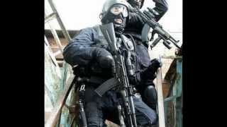 TOP 15 Special Police Forces 2013 [upl. by Courtland]