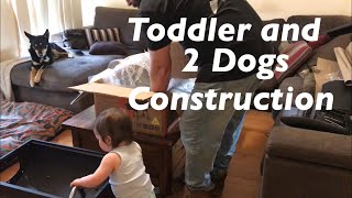 Assembling a jumbuck offset charcoal smoker with a toddler and 2 dogs [upl. by Onibas]