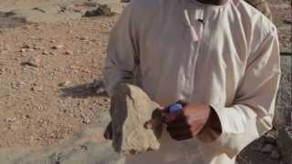 Check out Incredible Fossils in Musandams Mountains Oman [upl. by Fidel]