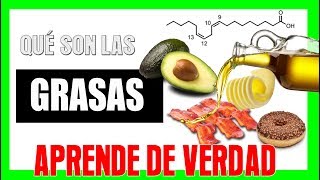 Clasificación de las GRASAS 🥑 y Cómo influyen en nuestro CUERPO [upl. by Coryden]