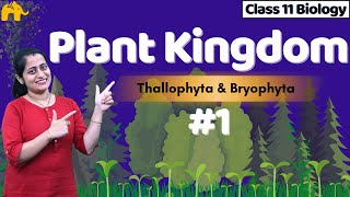 Plant Kingdom Class 11 Biology  NCERT Chapter 3  CBSE  Kingdom Plantae One Shot Complete Chapter [upl. by Pollitt216]