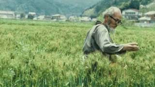 Masanobu Fukuoka rice and orchard techniques [upl. by Canale339]