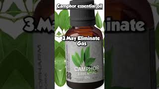 camphor oil benefits benefits shorts camphor oil essentialoils [upl. by Risan187]