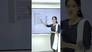 Structure of DNA 🧬  NCERT Biology Class 1112  Quick Overview [upl. by Enelav]