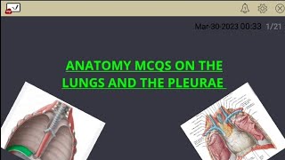 ANATOMY MCQS ON THE LUNGS AND THE PLEURAE pericardiacophrenic vein and artery lung rootampvisceral [upl. by Homans]