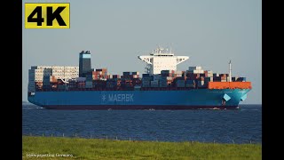 SAN NICOLAS MAERSK  Shipspotting Germany 🇩🇪 IMO 9622203  River Elbe near City Otterndorf 4K VIDEO [upl. by Woodcock]