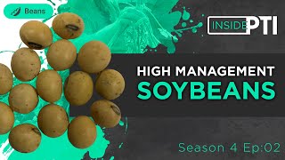 InsidePTI S4•E02  High Management ‣ Soybean [upl. by Mercado]