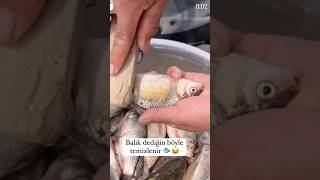 Best method for Fish cutting 👌 😋 [upl. by Inavoy]