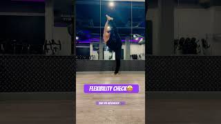 FLEXIBILITY CHECK 😱🥳 flexiblepeople flexible acroyogafun nutcracker flexibilitycheck lego [upl. by Sturges]