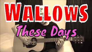 Wallows  These Days  Fingerpicking Guitar Cover [upl. by Nate821]