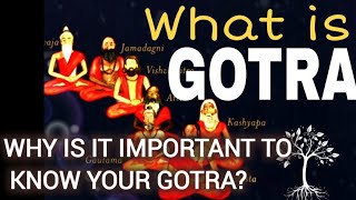 what is Gotra Why you must know your Gotra Significance of Gotra in Hinduism [upl. by Mccormac]