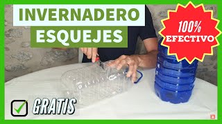 Mini Invernadero de esquejes casero 🌱 Efectivo y Gratis 🔥 2 Métodos Esqueje de estaca y semi leñoso [upl. by Leahcimnaj]