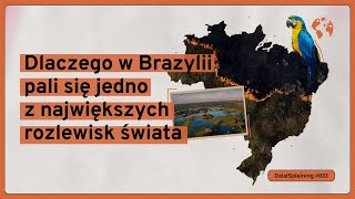 Dlaczego w Brazylii pali się jedno z największych rozlewisk świata DziałSplaining039 [upl. by Lenaj]