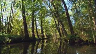 Mit Kanu und Kahn durch den Spreewald [upl. by Aenahs766]