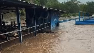 FAZENDEIROS NORDESTINOS DEBAIXO DÁGUA 171124 [upl. by Saeger]