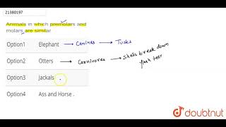 Animals in which premolars and molars are similar [upl. by Eillam287]