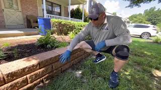 How to clean and detail brick paver retaining wall powerwashing softwash brickrestoration [upl. by Moritz302]